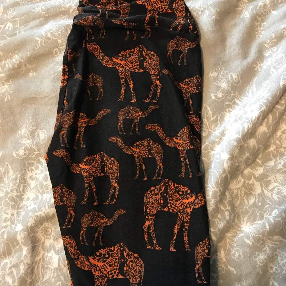 Lularoe OS Camels